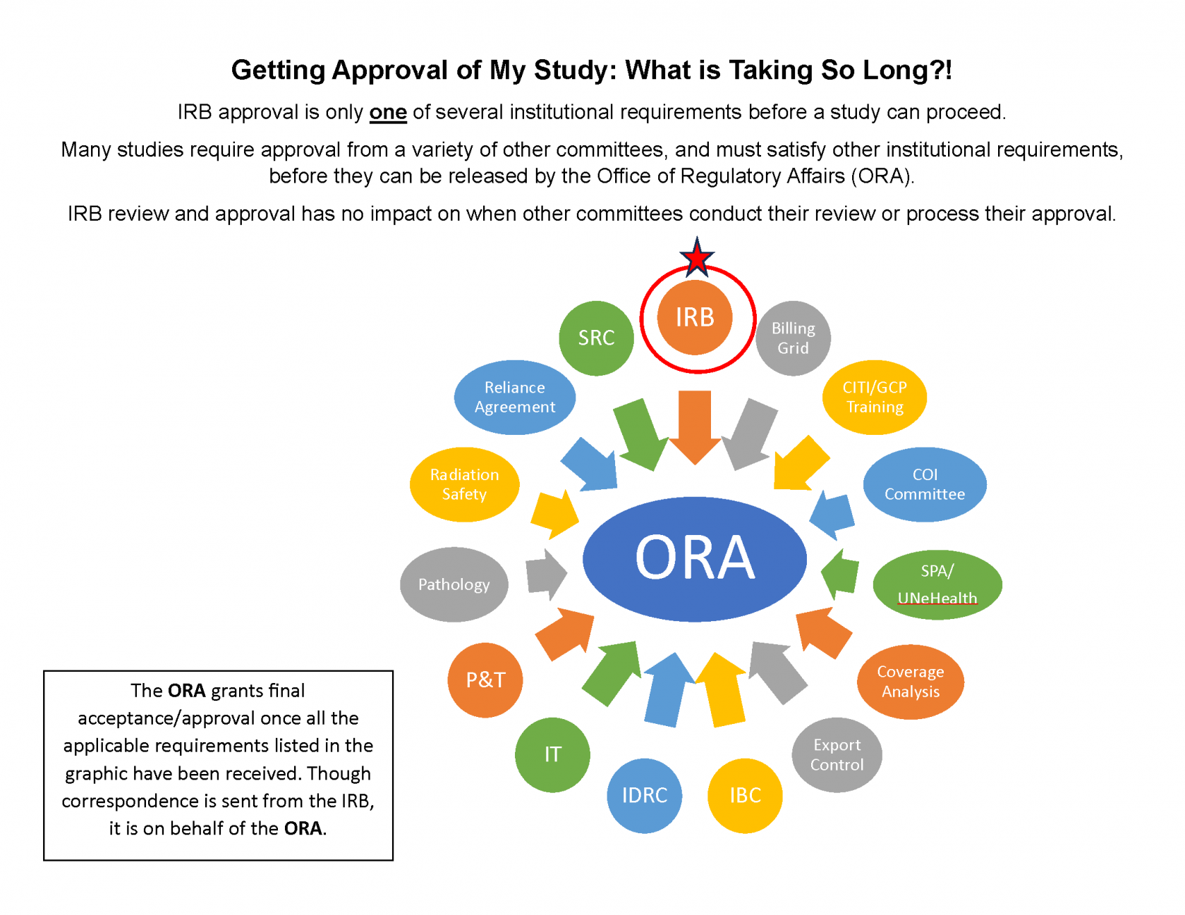 study_approval_irb_vs_ora.png