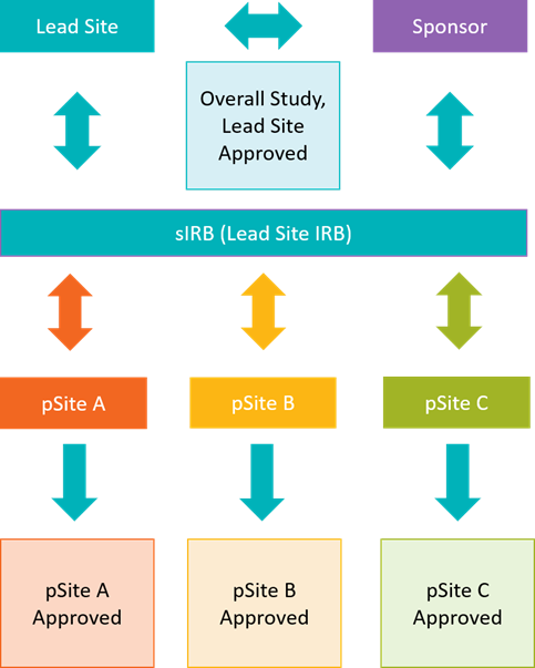 sirb_review_unmc.png